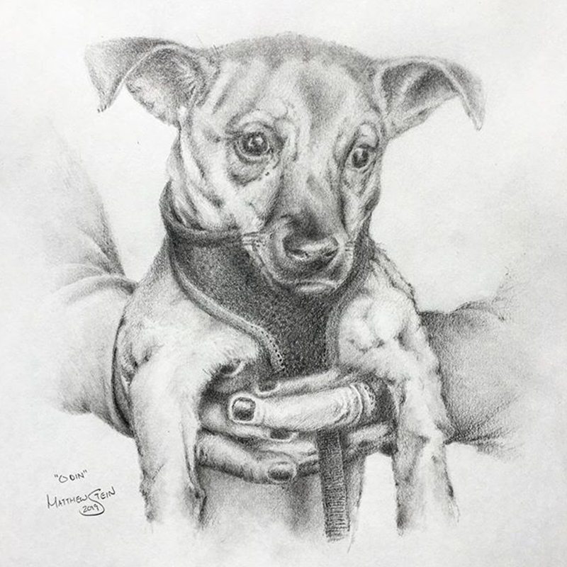 Dog 1