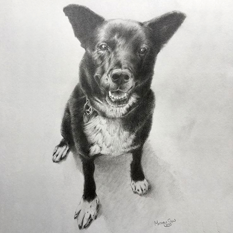 Dog 2